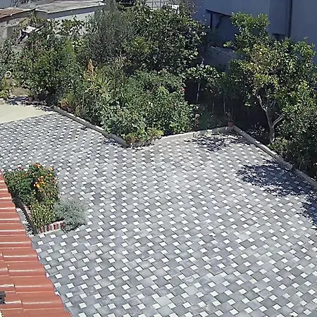 Albert's House For Rent